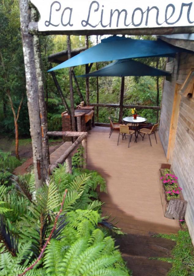 Cabanas Los Cantos Del Chucao 푸에르토바라스 외부 사진