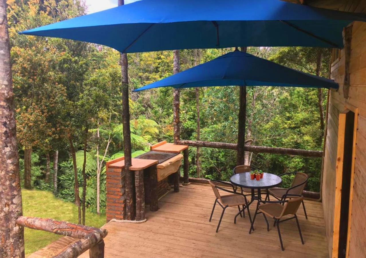 Cabanas Los Cantos Del Chucao 푸에르토바라스 외부 사진