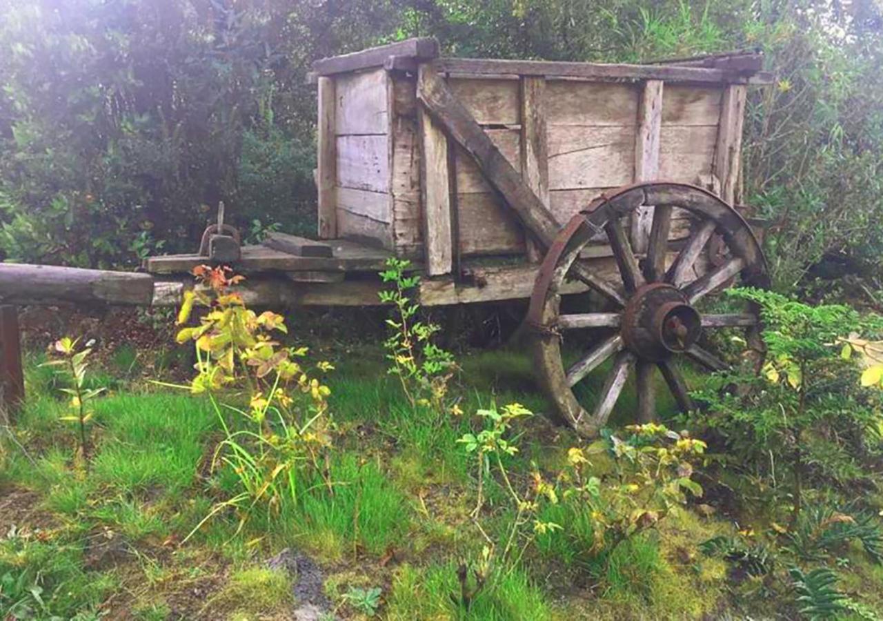 Cabanas Los Cantos Del Chucao 푸에르토바라스 외부 사진